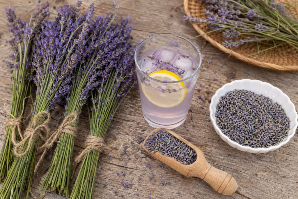 A flat-lay aesthetic photo of harvested lavender bundles tied with twine, sitting next to a glass of lavender lemonade and a bowl of dried buds, representing culinary use and drying.
